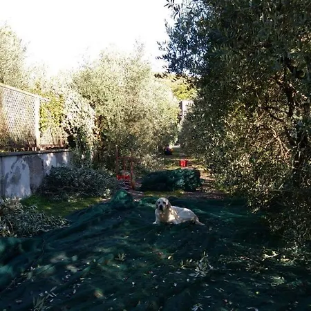 B&B La Grola-2